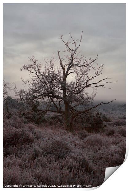 Heather and Tree in Early Morning Mist Print by Christine Kerioak