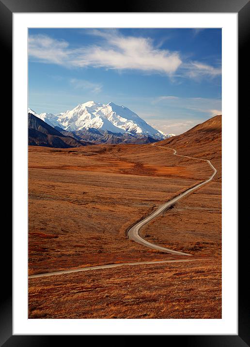 Mount McKinley Framed Mounted Print by Gail Johnson