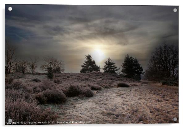 Winter Sun Rising and Silhouetting Trees Acrylic by Christine Kerioak