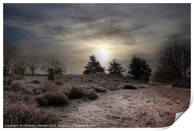 Winter Sun Rising and Silhouetting Trees Print by Christine Kerioak