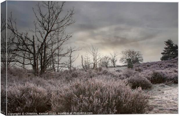 Early Morning Heather Canvas Print by Christine Kerioak