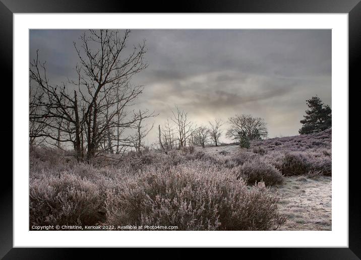 Early Morning Heather Framed Mounted Print by Christine Kerioak