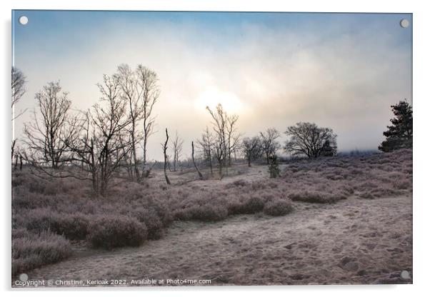 Winter Sunlit Heather Acrylic by Christine Kerioak