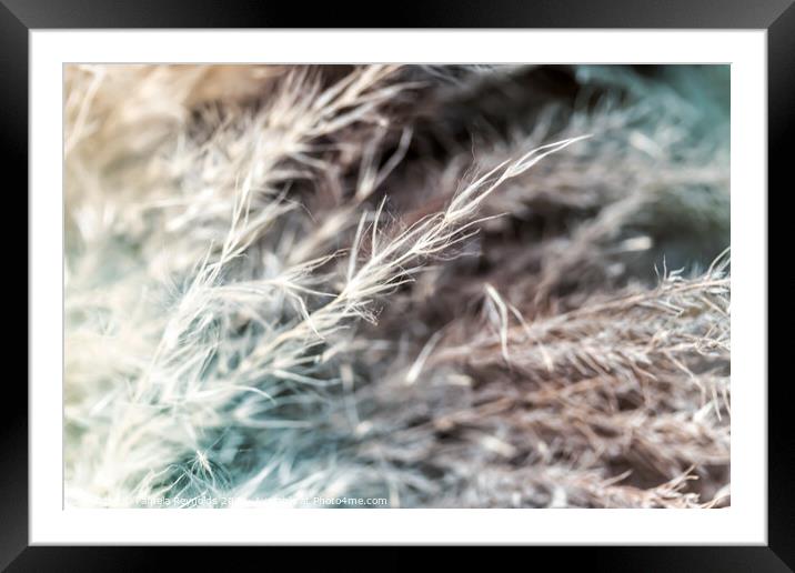 Dried Grasses with Autumnal Tones Framed Mounted Print by Pamela Reynolds