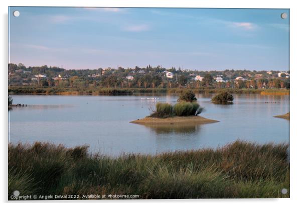 Afternoon in Salgados Natural Reserve Acrylic by Angelo DeVal