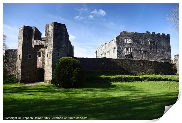 The Enchanting Ruins of Berry Pomeroy Castle Print by Stephen Hamer
