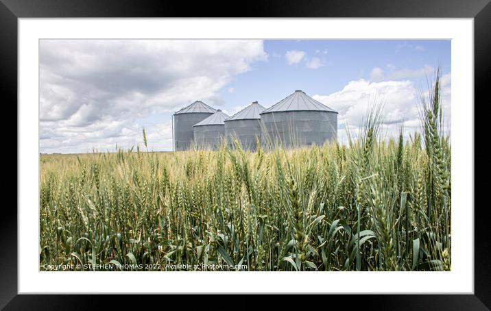 Grain Bins in a Wheat Field Framed Mounted Print by STEPHEN THOMAS