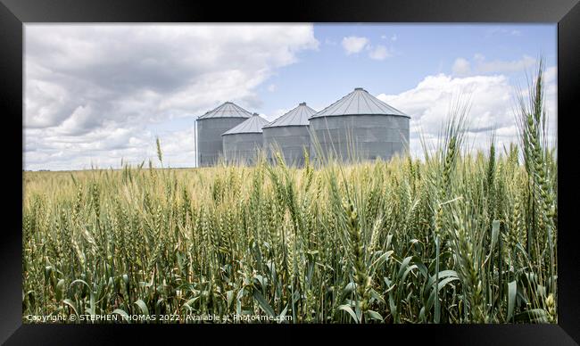Grain Bins in a Wheat Field Framed Print by STEPHEN THOMAS