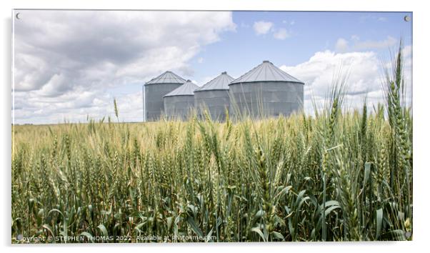 Grain Bins in a Wheat Field Acrylic by STEPHEN THOMAS