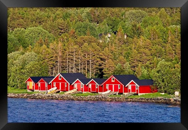 Red Boathouses in Norway Framed Print by Martyn Arnold