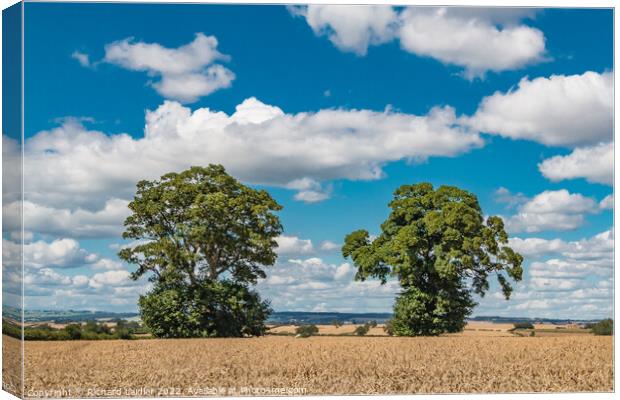Big Harvest Sky at Foxberry Canvas Print by Richard Laidler