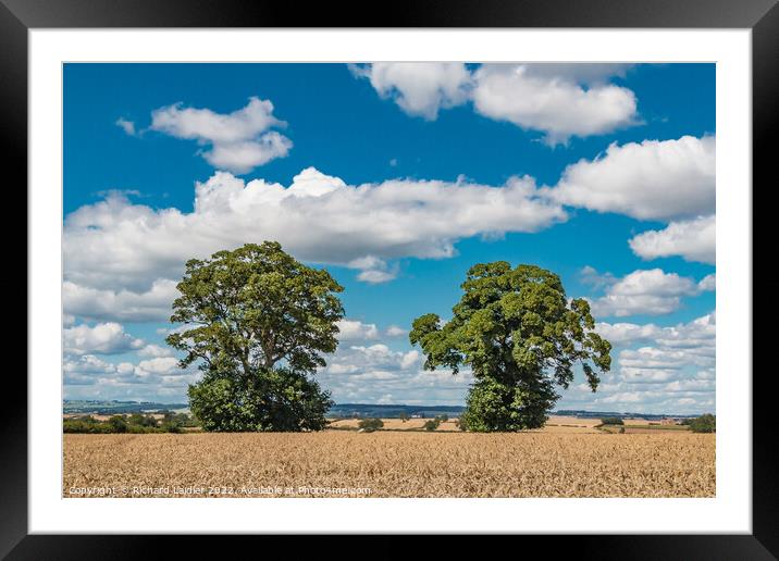 Big Harvest Sky at Foxberry Framed Mounted Print by Richard Laidler