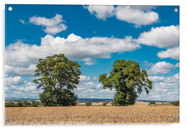 Big Harvest Sky at Foxberry Acrylic by Richard Laidler