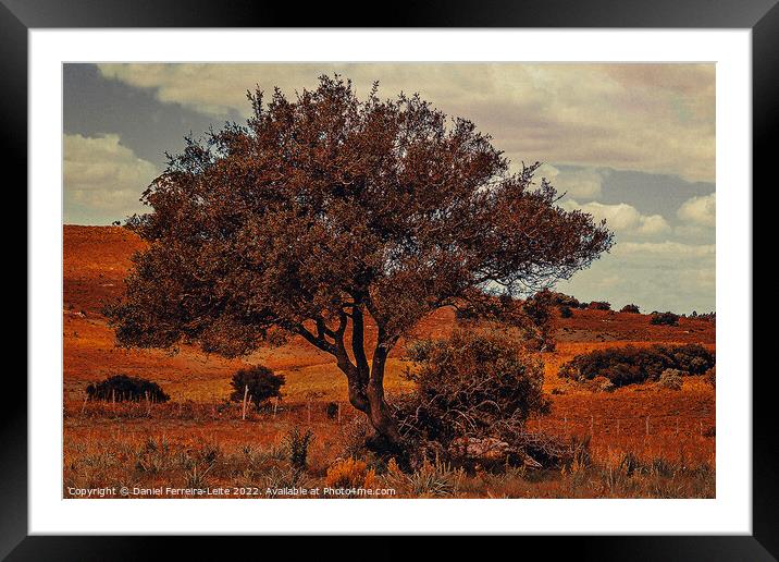 Uruguay countryside landscape Framed Mounted Print by Daniel Ferreira-Leite