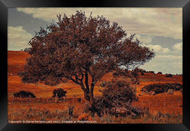 Uruguay countryside landscape Framed Print by Daniel Ferreira-Leite
