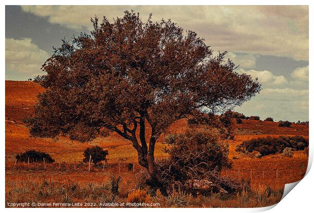 Uruguay countryside landscape Print by Daniel Ferreira-Leite