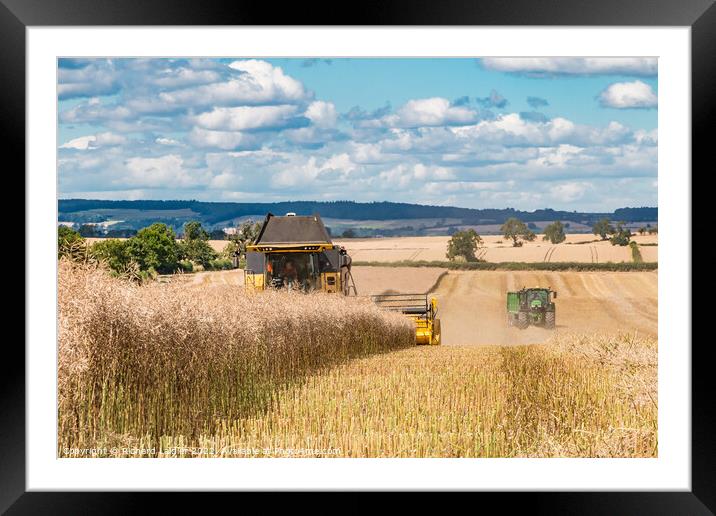 OSR Harvest at Foxberry Aug 2022 (4) Framed Mounted Print by Richard Laidler