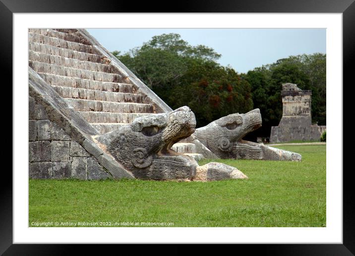 Jaguar carvings at Chichen Itza Framed Mounted Print by Antony Robinson