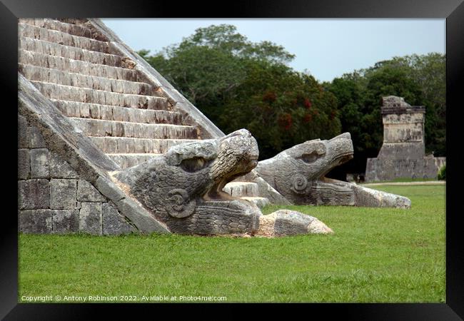 Jaguar carvings at Chichen Itza Framed Print by Antony Robinson