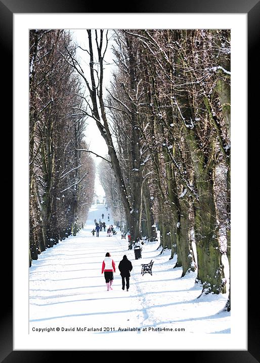 Walking down the avenue Framed Mounted Print by David McFarland