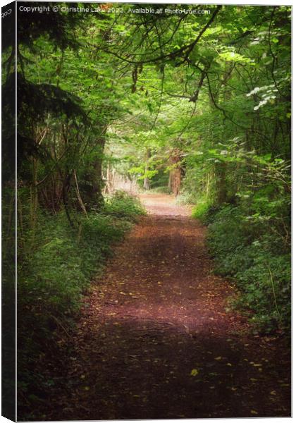 Path In The Wood 2 Canvas Print by Christine Lake