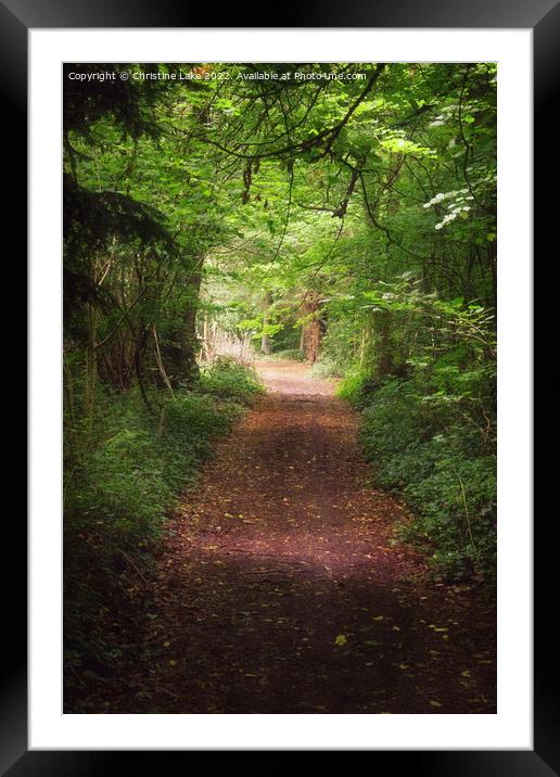 Path In The Wood 2 Framed Mounted Print by Christine Lake