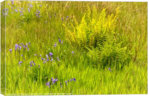 Enchanted Spring Meadow Canvas Print by Barbara Jones