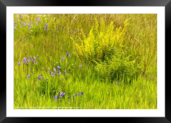 Enchanted Spring Meadow Framed Mounted Print by Barbara Jones