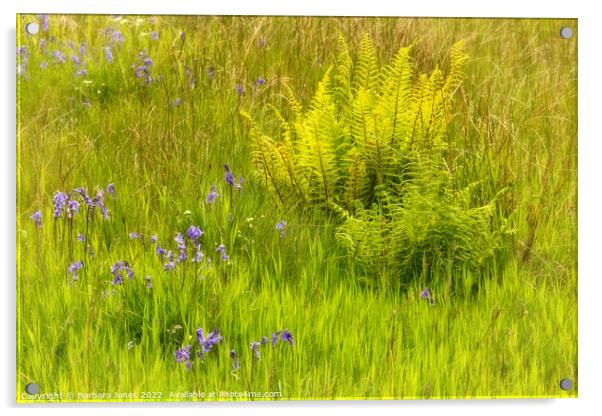 Enchanted Spring Meadow Acrylic by Barbara Jones