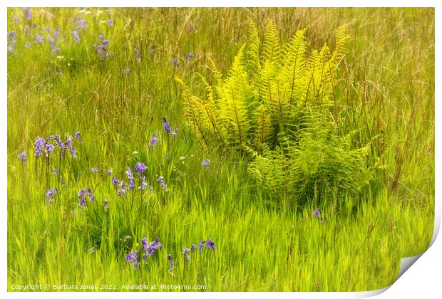 Enchanted Spring Meadow Print by Barbara Jones