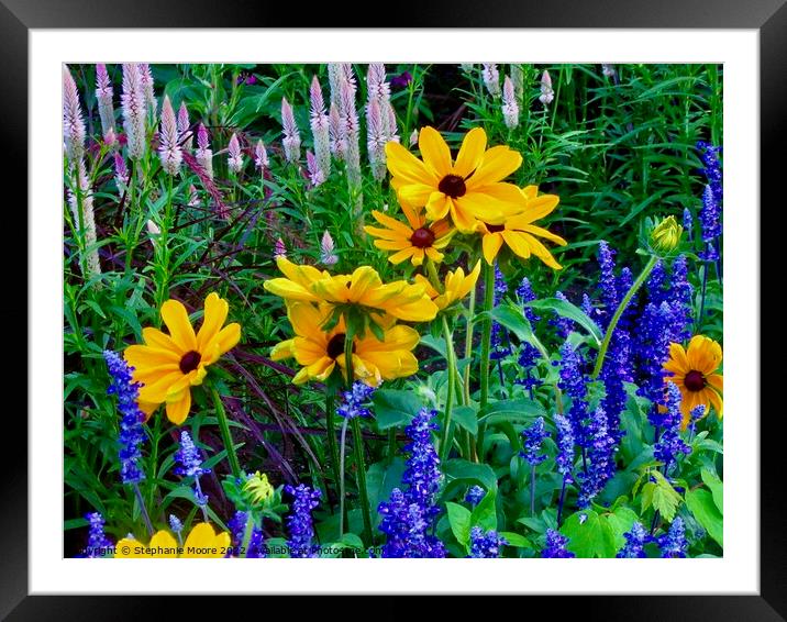 Bright Flowers Framed Mounted Print by Stephanie Moore