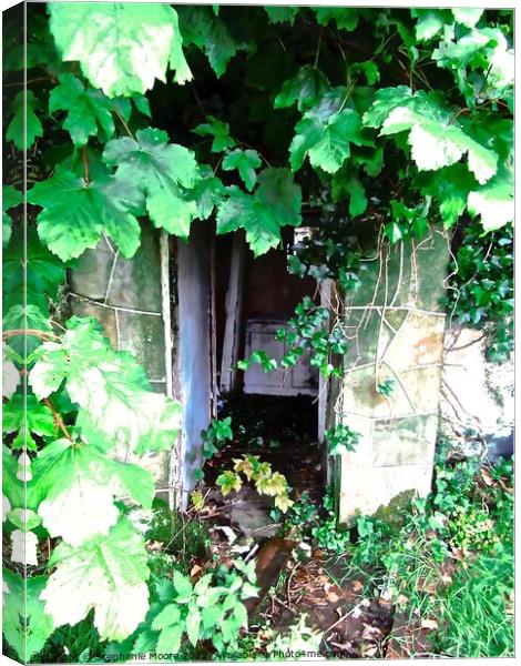 Hidden House Canvas Print by Stephanie Moore