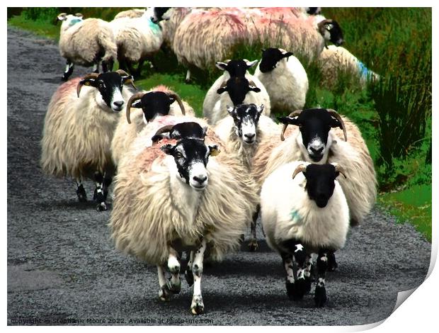 Irish Sheep Print by Stephanie Moore