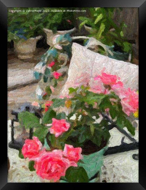 Roses in the Cottage Garden Framed Print by Zahra Majid