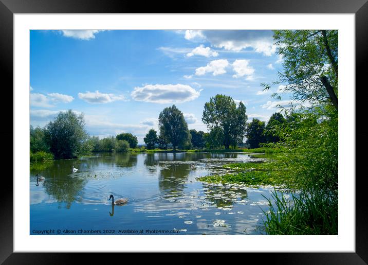 Bolton Brick Pond Fisheries Framed Mounted Print by Alison Chambers