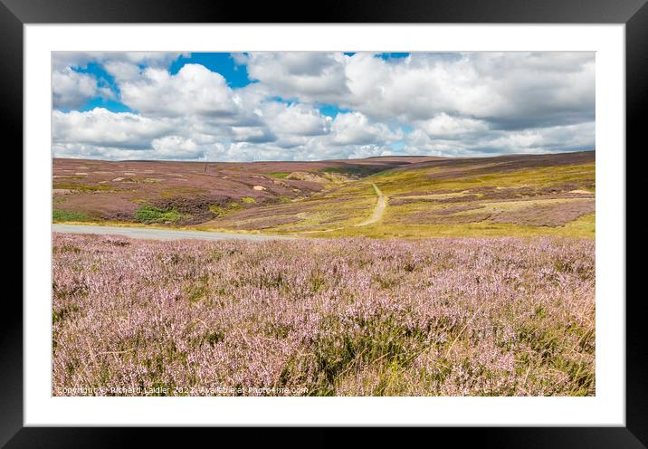Flowering Heather at Little Eggleshope, Teesdale Framed Mounted Print by Richard Laidler