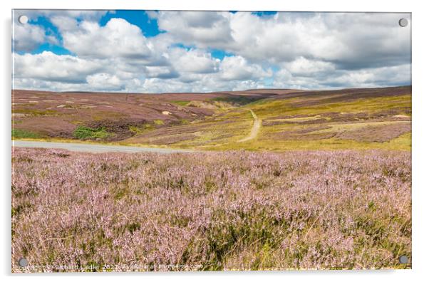 Flowering Heather at Little Eggleshope, Teesdale Acrylic by Richard Laidler