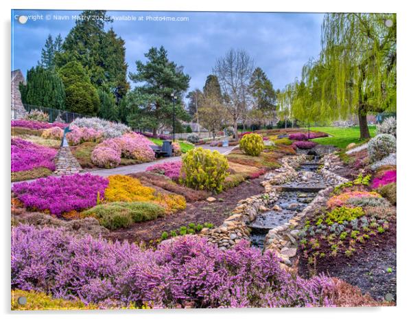 The Heather Collection, Rodney Gardens, Perth  Acrylic by Navin Mistry