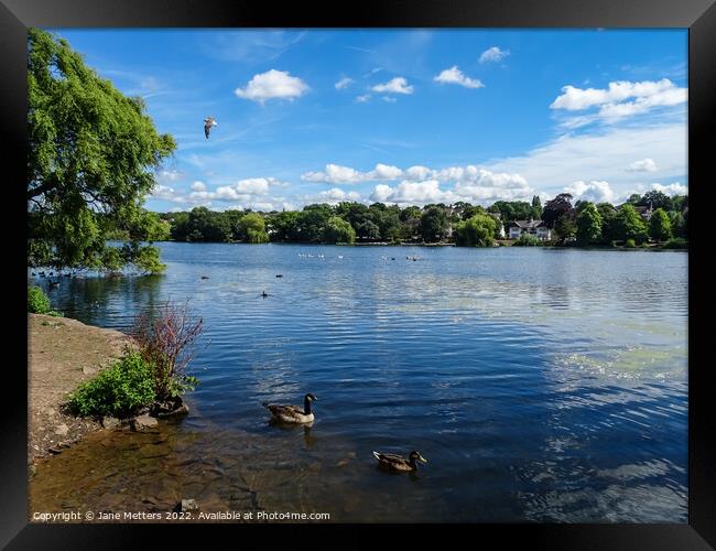 Lake View Framed Print by Jane Metters