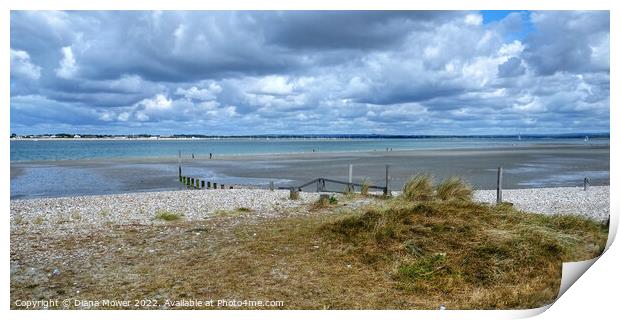 West Wittering and Chichester Harbour Print by Diana Mower