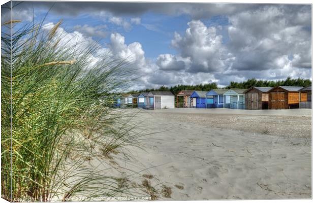West Wittering beach Huts and Dunes  Canvas Print by Diana Mower