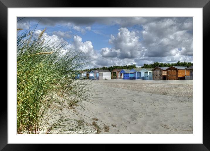 West Wittering beach Huts and Dunes  Framed Mounted Print by Diana Mower