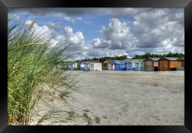 West Wittering beach Huts and Dunes  Framed Print by Diana Mower