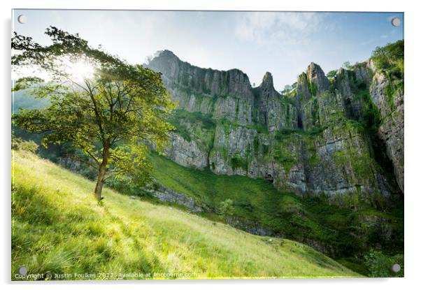 Cheddar Gorge, Somerset Acrylic by Justin Foulkes