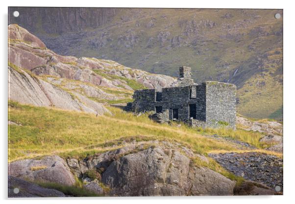 Cwmorthin Terrace Acrylic by Rory Trappe