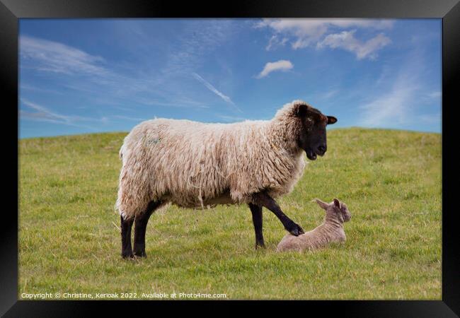 Get Up, Says this Mother to her Lamb Framed Print by Christine Kerioak