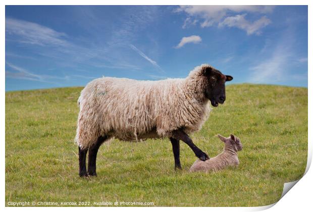 Get Up, Says this Mother to her Lamb Print by Christine Kerioak