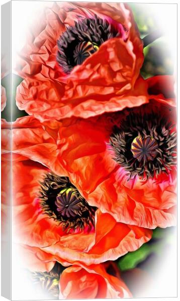 Poppy Art Canvas Print by David Mccandlish