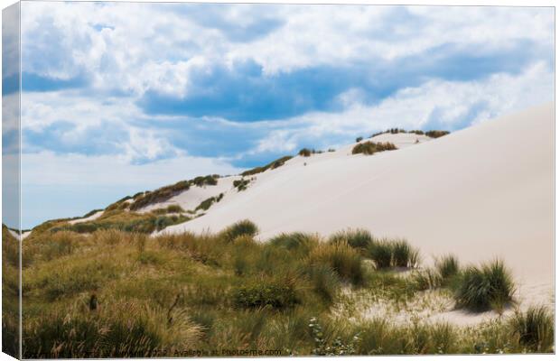 crystal white sand on the schoorl dunes in holland Canvas Print by Chris Willemsen
