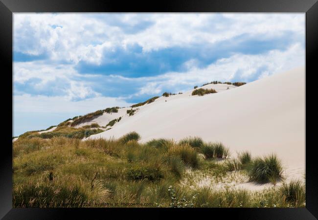 crystal white sand on the schoorl dunes in holland Framed Print by Chris Willemsen